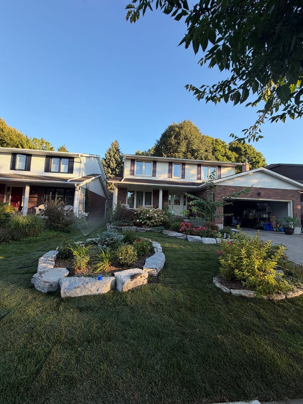 Freshly laid Kentucky bluegrass sod on the front lawn on Woodbend Crescent, Waterloo, sprinkler running between the stone garden beds